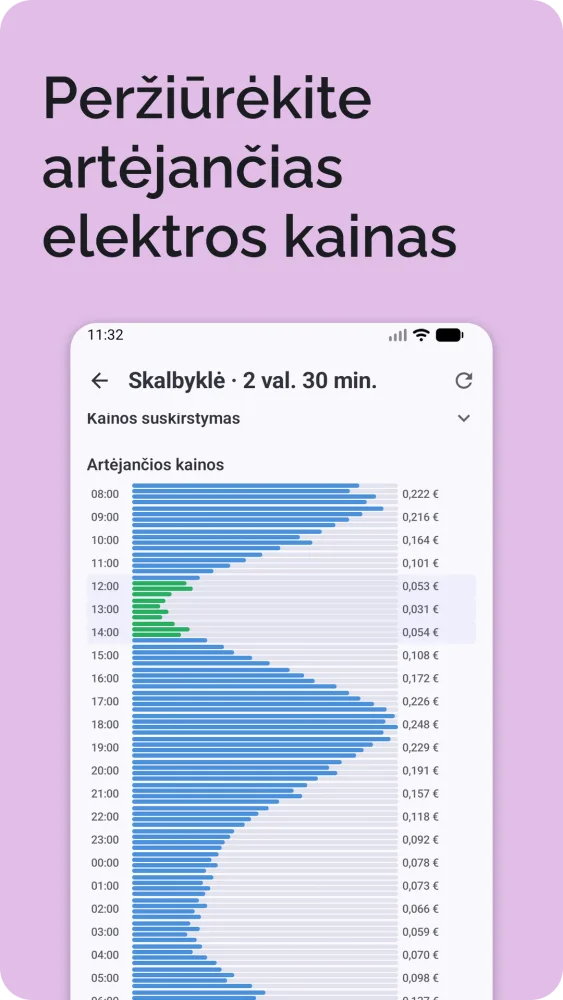 Artėjančios elektros kainos horizontalioje juostinėje diagramoje