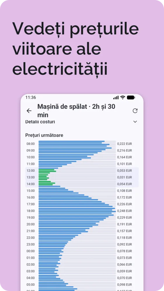 Prețuri viitoare ale electricității ca grafic cu bare orizontale